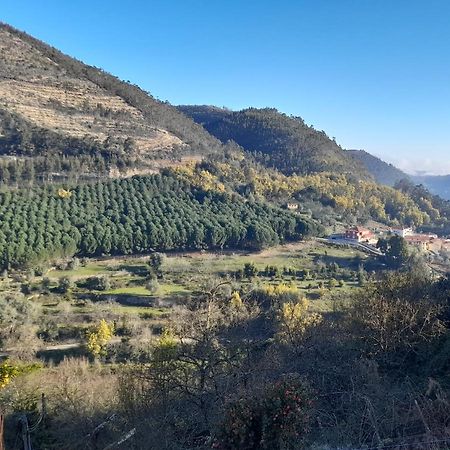 Casa 4P - Alojamento Local - Pura Paixao Por Penacova Villa Dış mekan fotoğraf