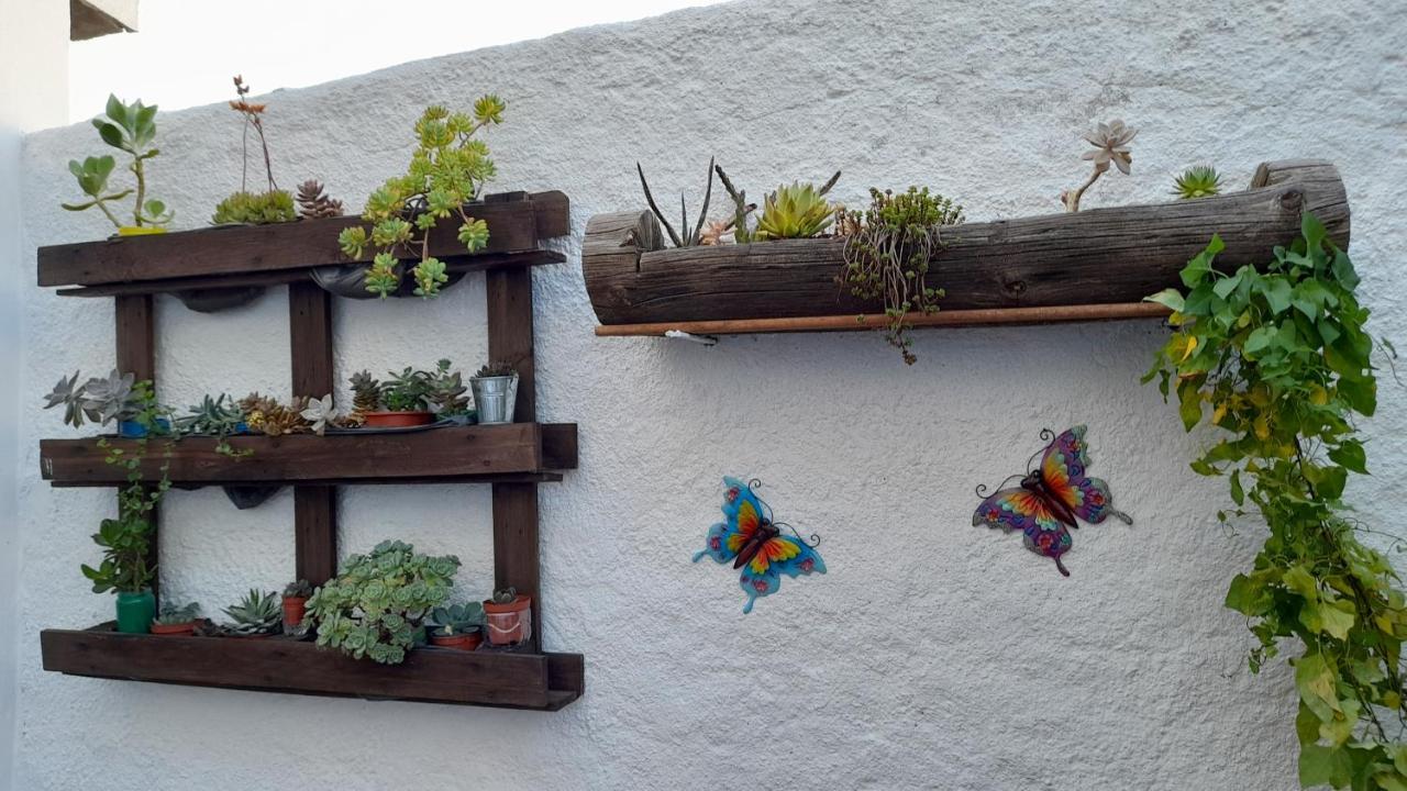 Casa 4P - Alojamento Local - Pura Paixao Por Penacova Villa Dış mekan fotoğraf