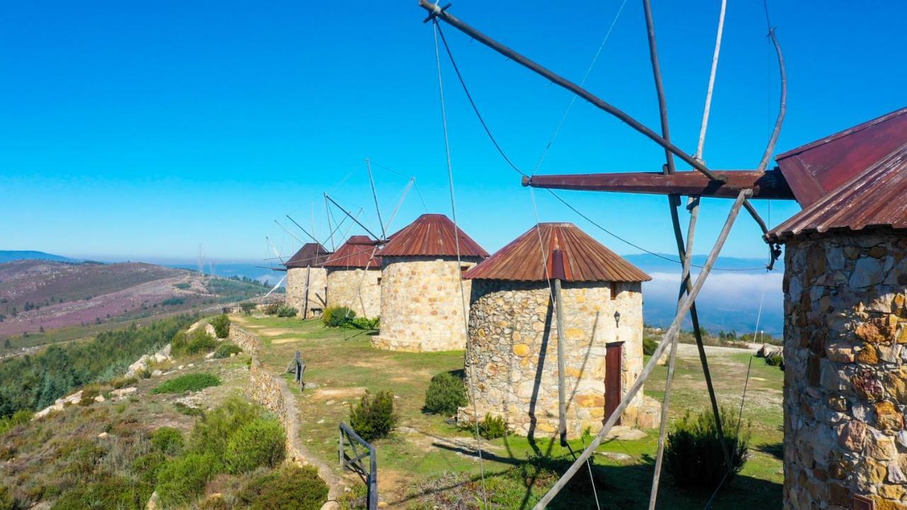 Casa 4P - Alojamento Local - Pura Paixao Por Penacova Villa Dış mekan fotoğraf