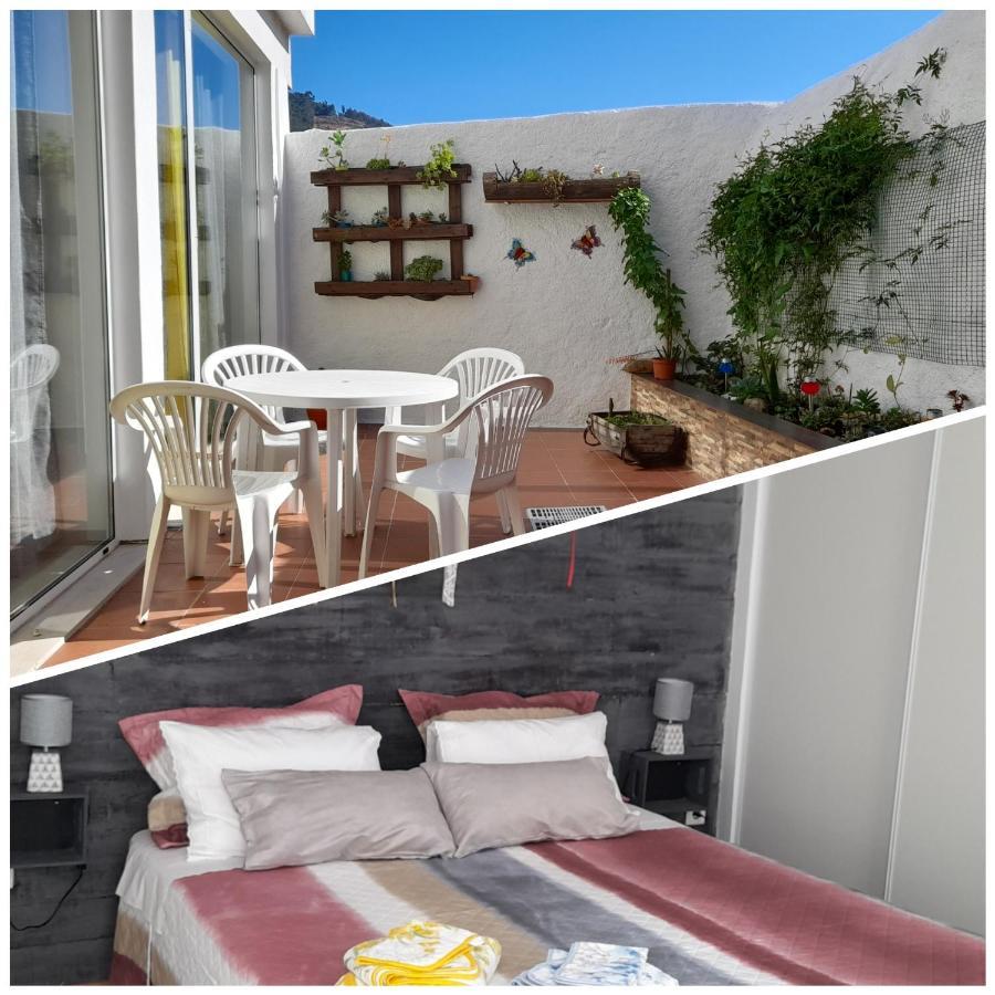 Casa 4P - Alojamento Local - Pura Paixao Por Penacova Villa Dış mekan fotoğraf